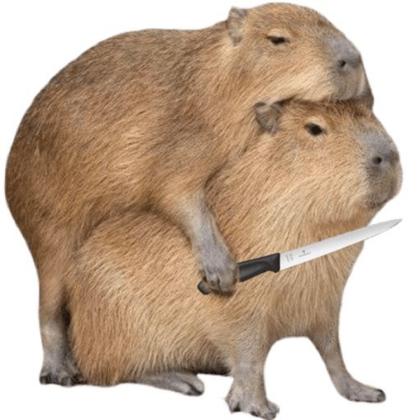 Capybara meme