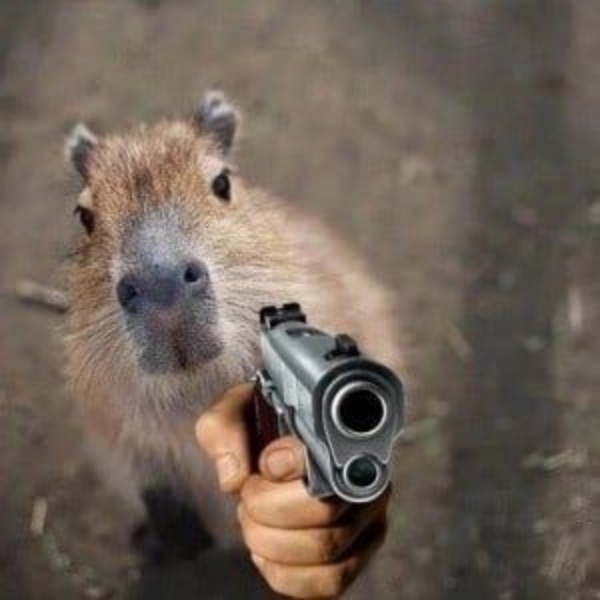 Capybara meme