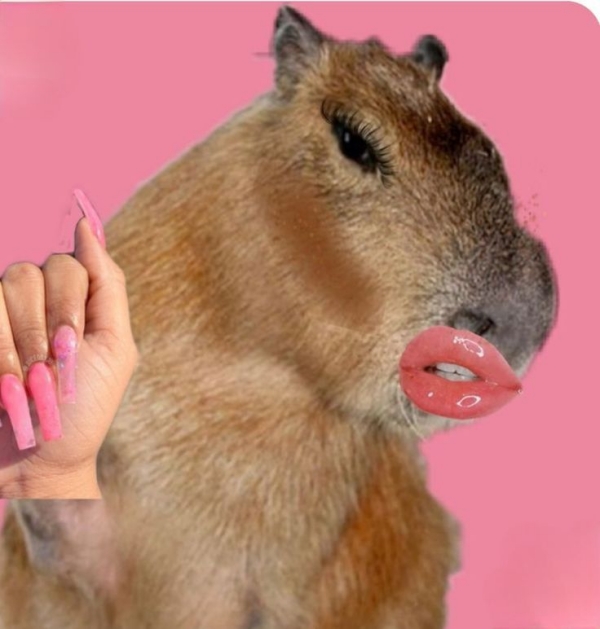 Capybara meme
