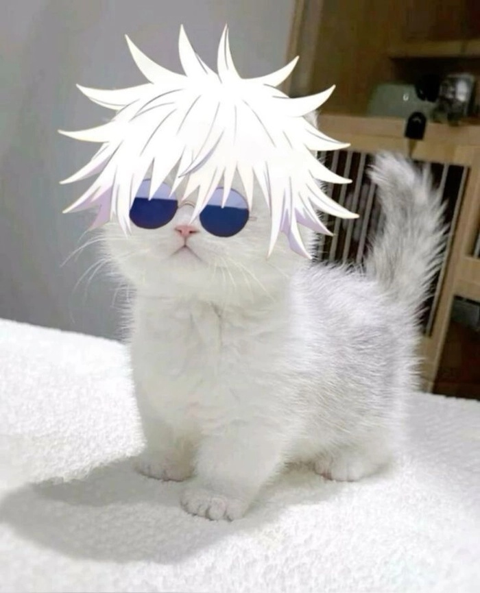Gojo Meme