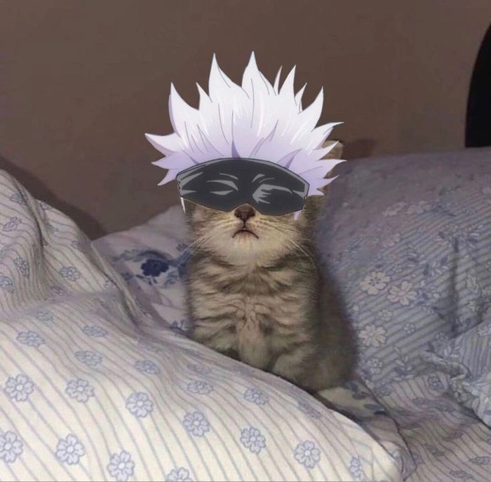 Gojo Meme