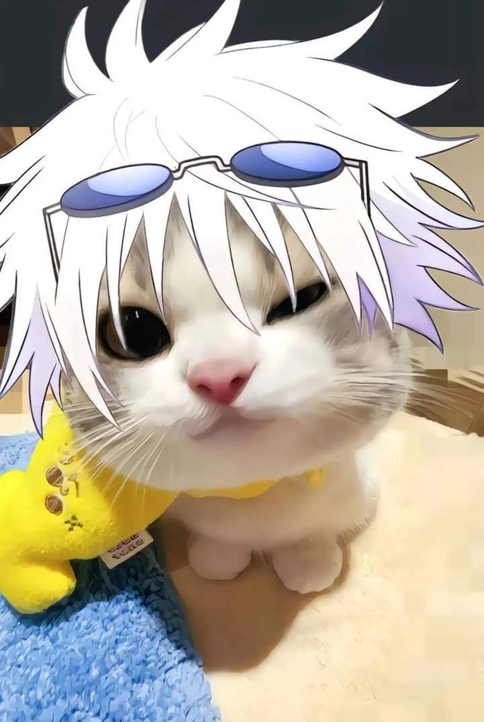 Gojo Meme