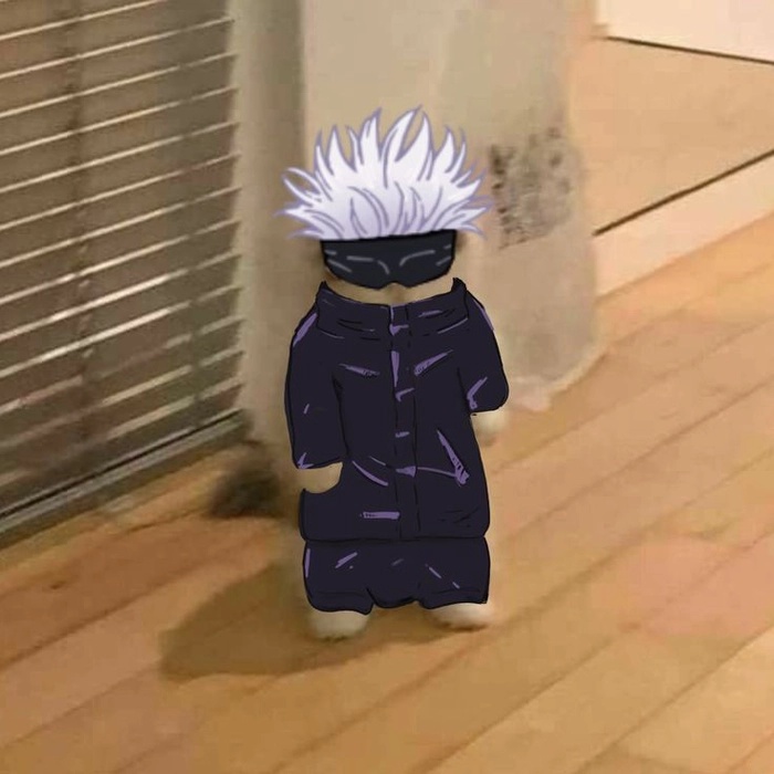Gojo Meme