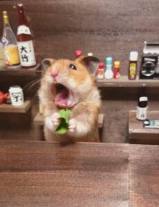 Hamster meme