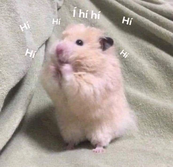 Hamster meme