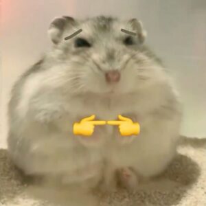 Hamster meme