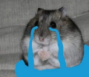 Hamster meme