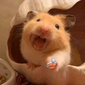Hamster meme