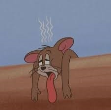 Jerry Meme