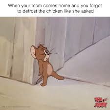 Jerry Meme