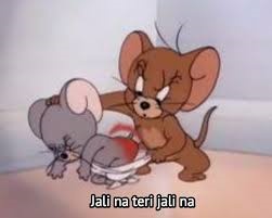 Jerry Meme