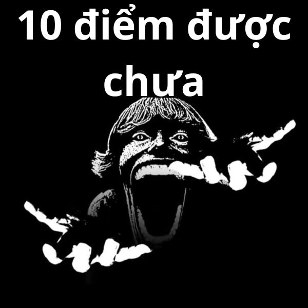 10 điểm meme