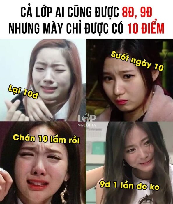 10 điểm meme