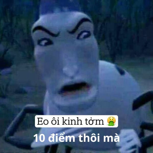 10 điểm meme