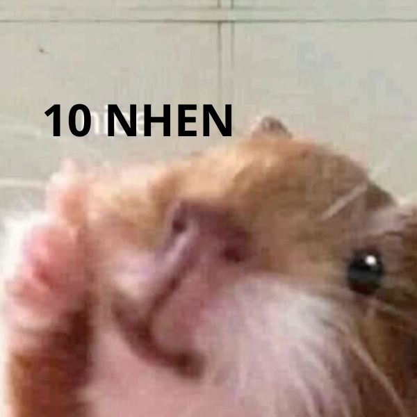 10 điểm meme
