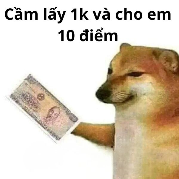 10 điểm meme