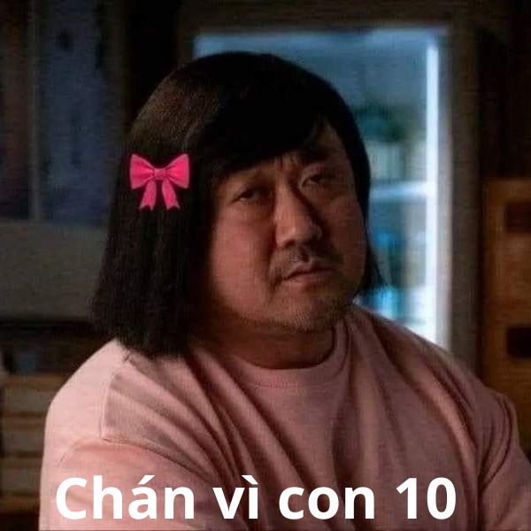 10 điểm meme