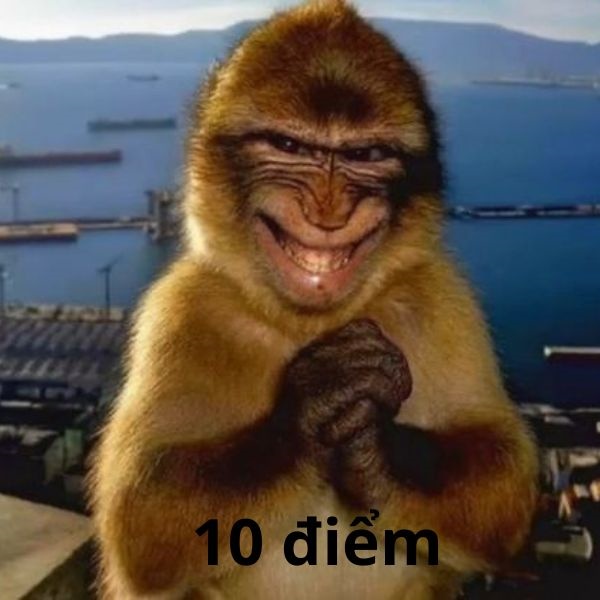 10 điểm meme