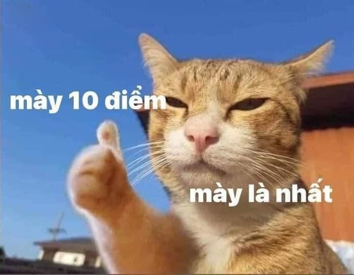 10 điểm meme