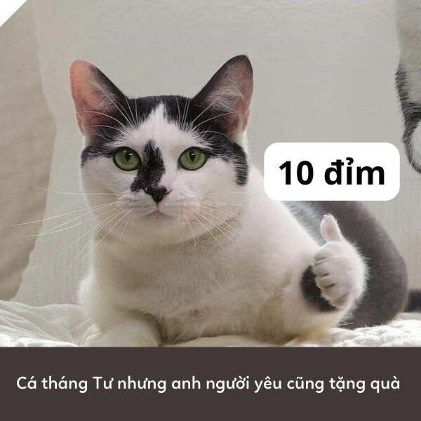 10 điểm meme