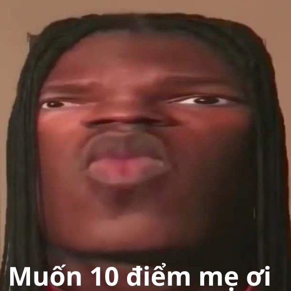 10 điểm meme