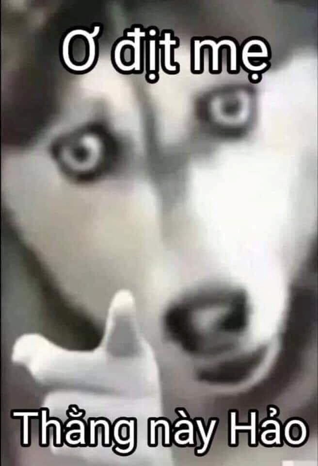 Meme Bựa