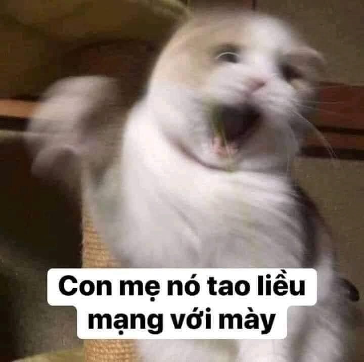 Meme Bựa