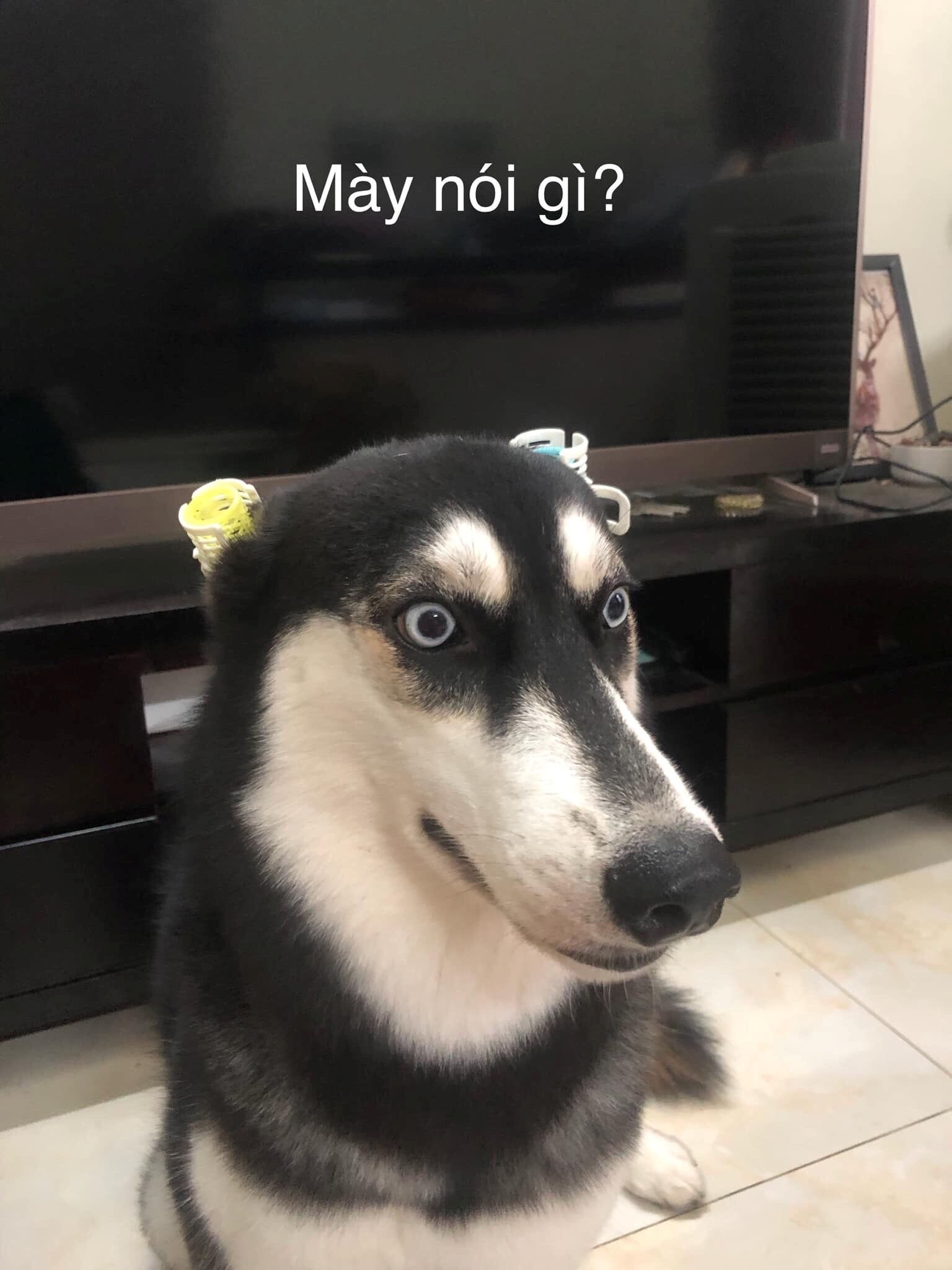 Meme Bựa