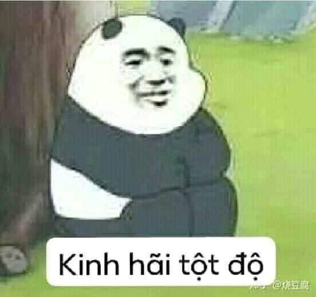 Meme Bựa