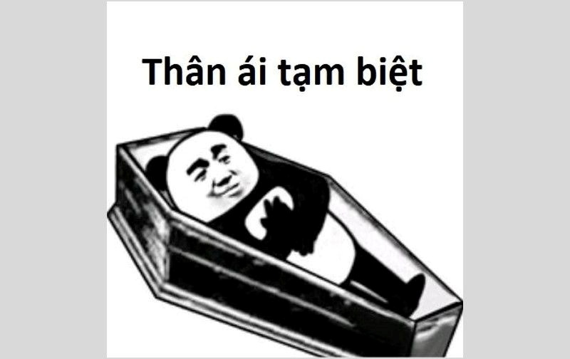 Meme Bựa