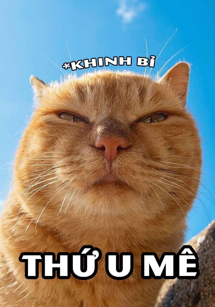 Meme Bựa