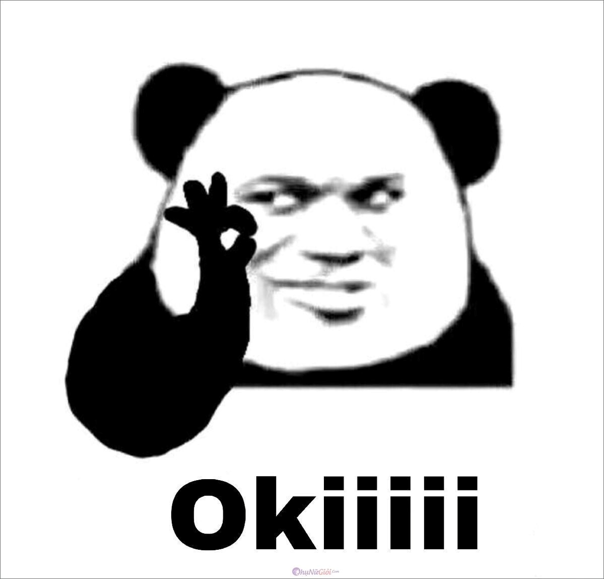 Meme Bựa