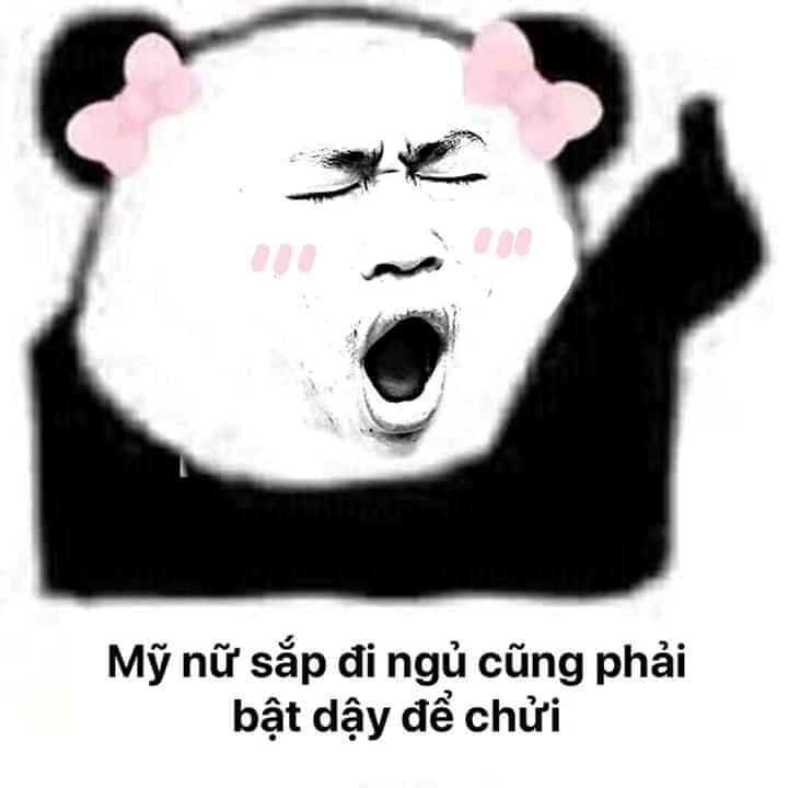 Meme Bựa