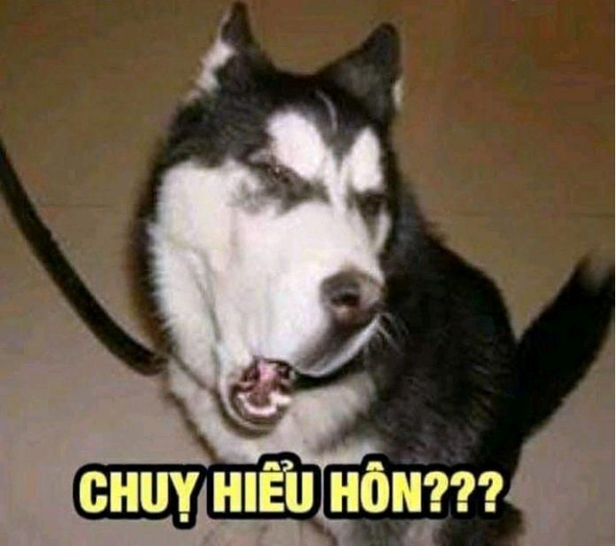 Meme Bựa