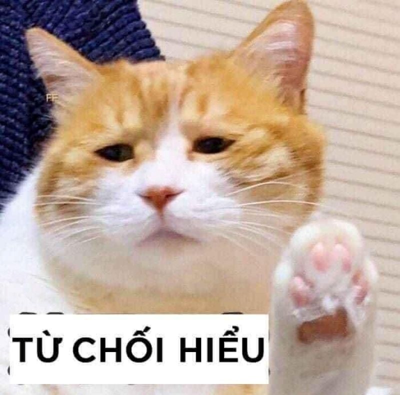 Meme Bựa