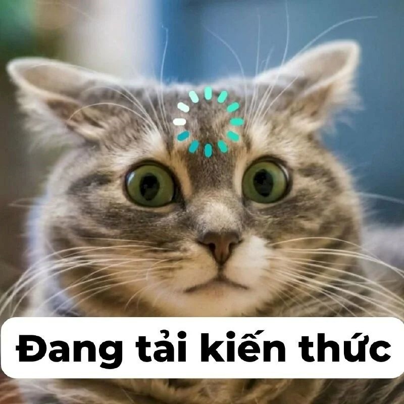 Meme Bựa