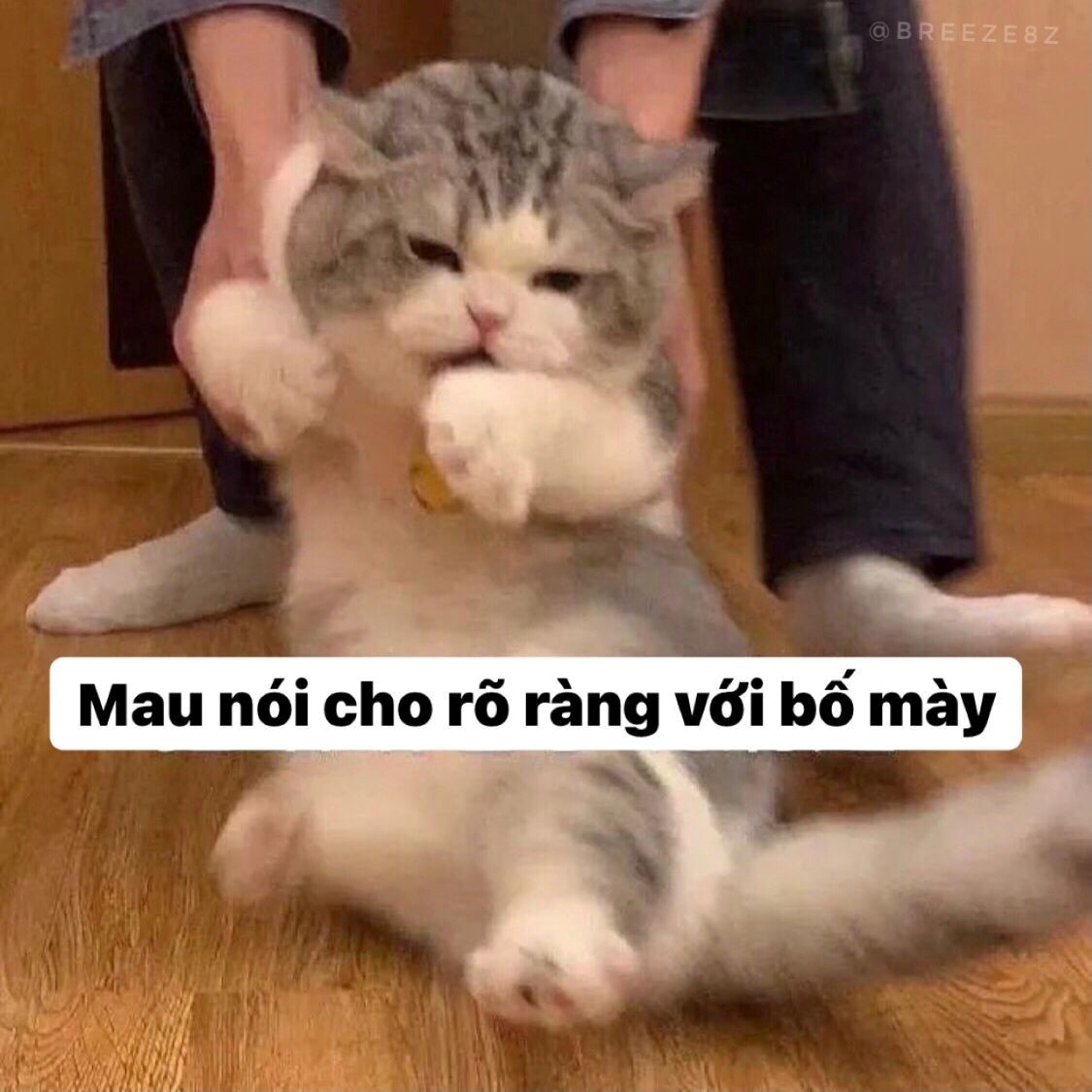 Meme Bựa