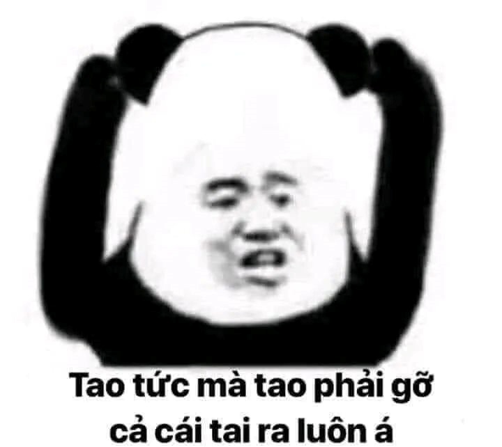 Meme Bựa