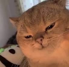 Meme Bựa