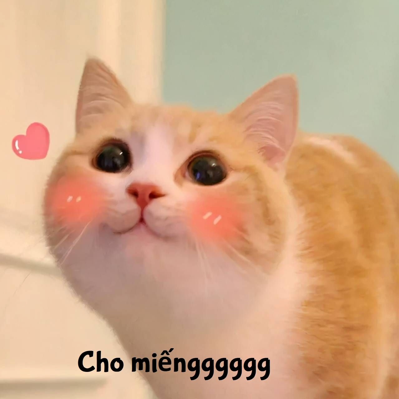 Meme Bựa