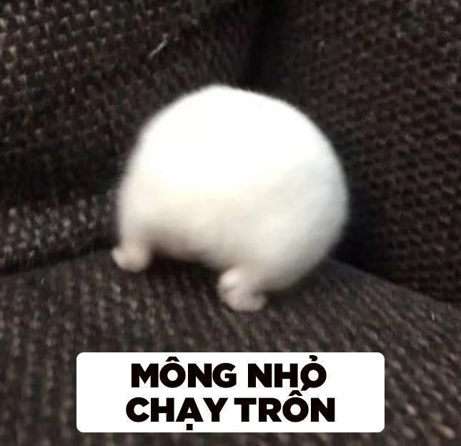 Meme Bựa