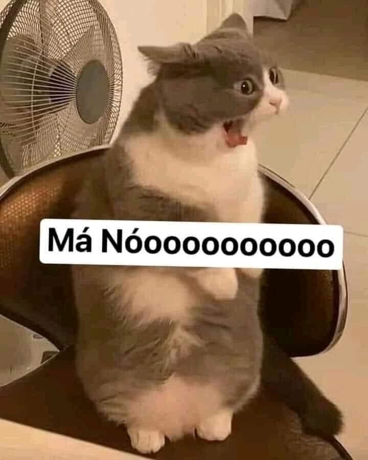 Meme Bựa