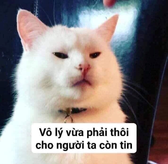 Meme Bựa