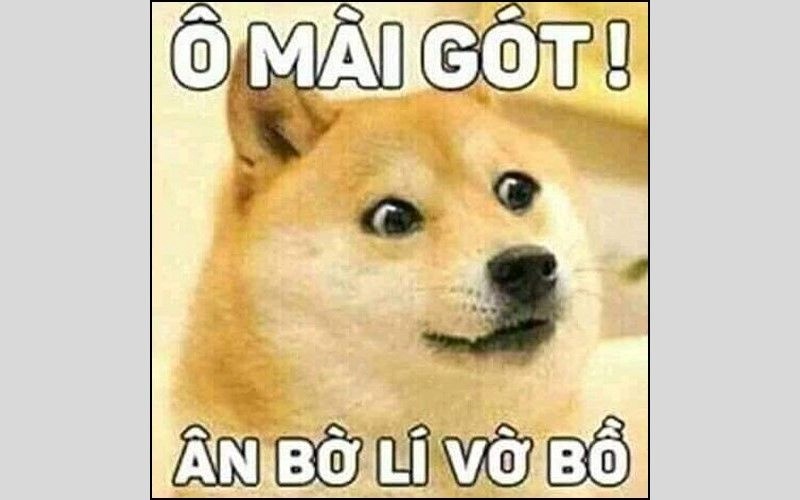 Meme Bựa