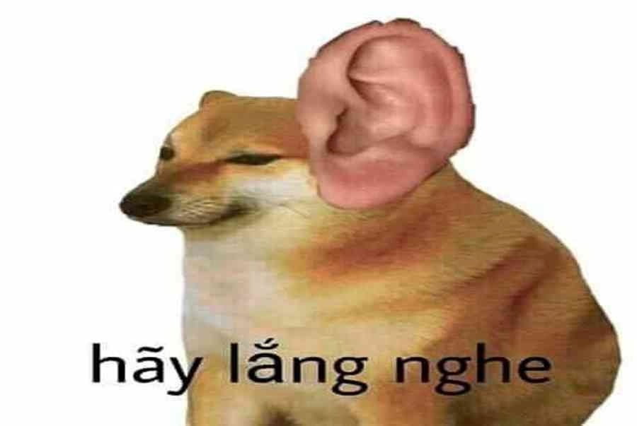 Meme Bựa