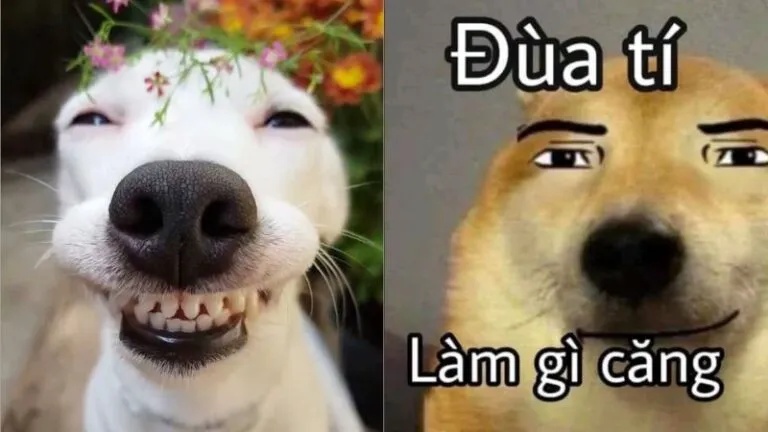 Meme Hài