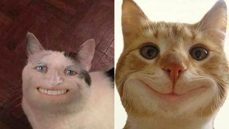 Meme Hài