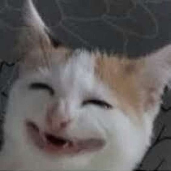 Meme Hài