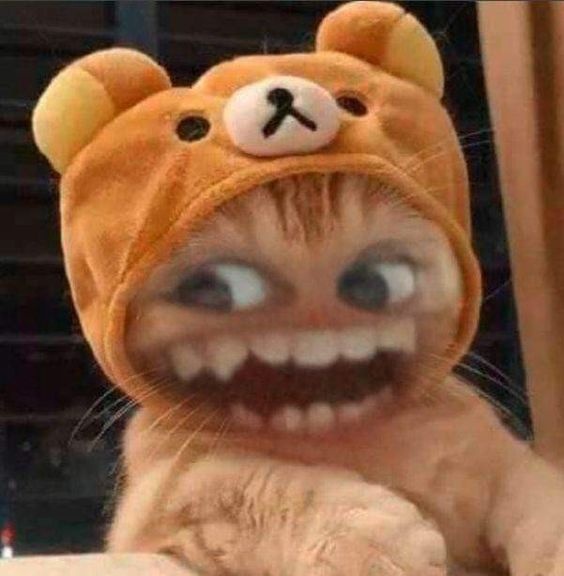 Meme Hài