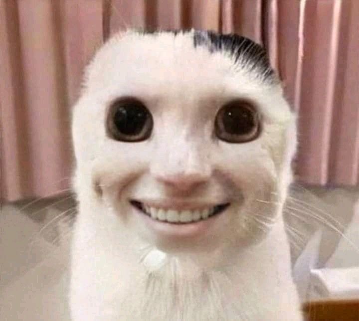Meme Hài